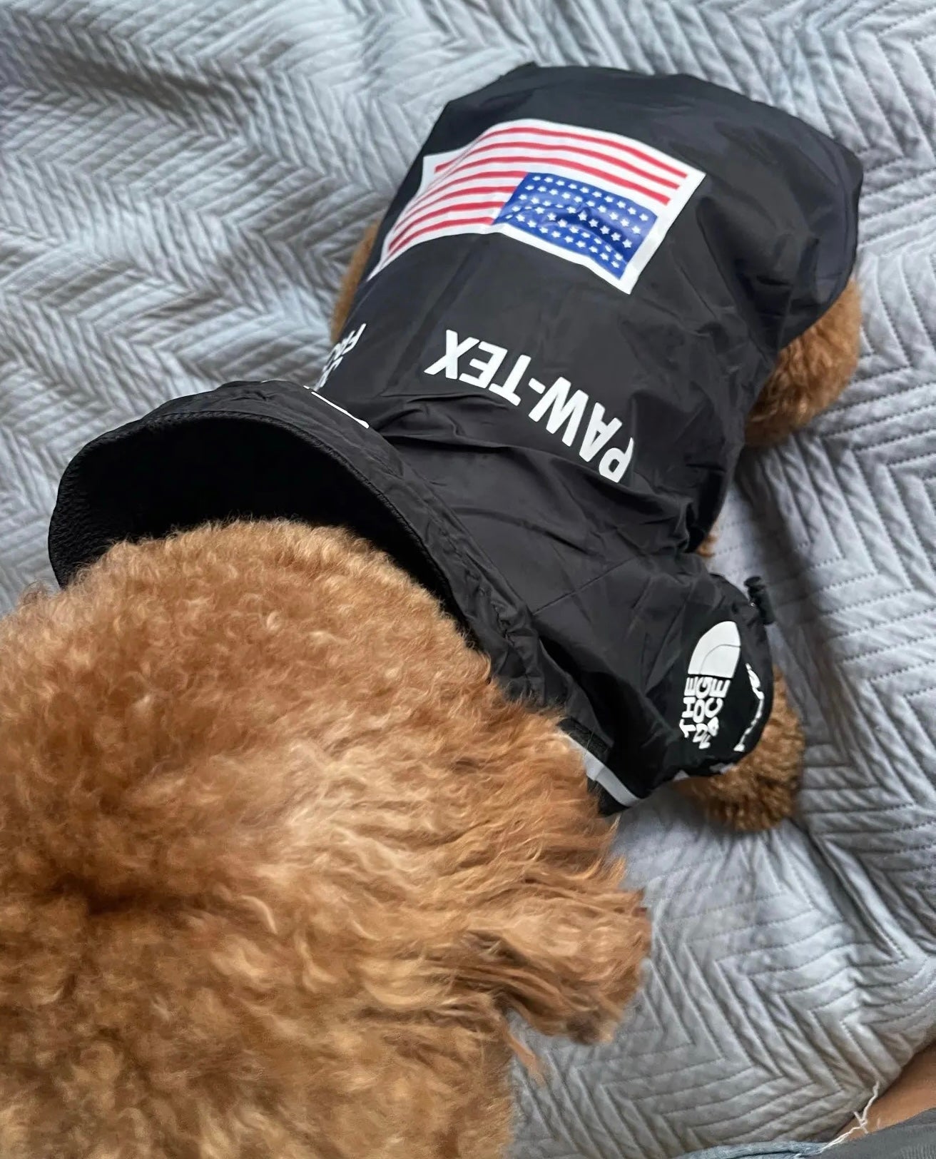 Wasserdichte Hundejacke mit Kapuze „Space Edition“