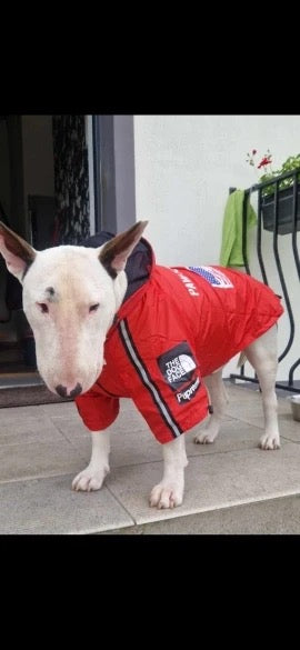 Wasserdichte Hundejacke mit Kapuze „Space Edition“