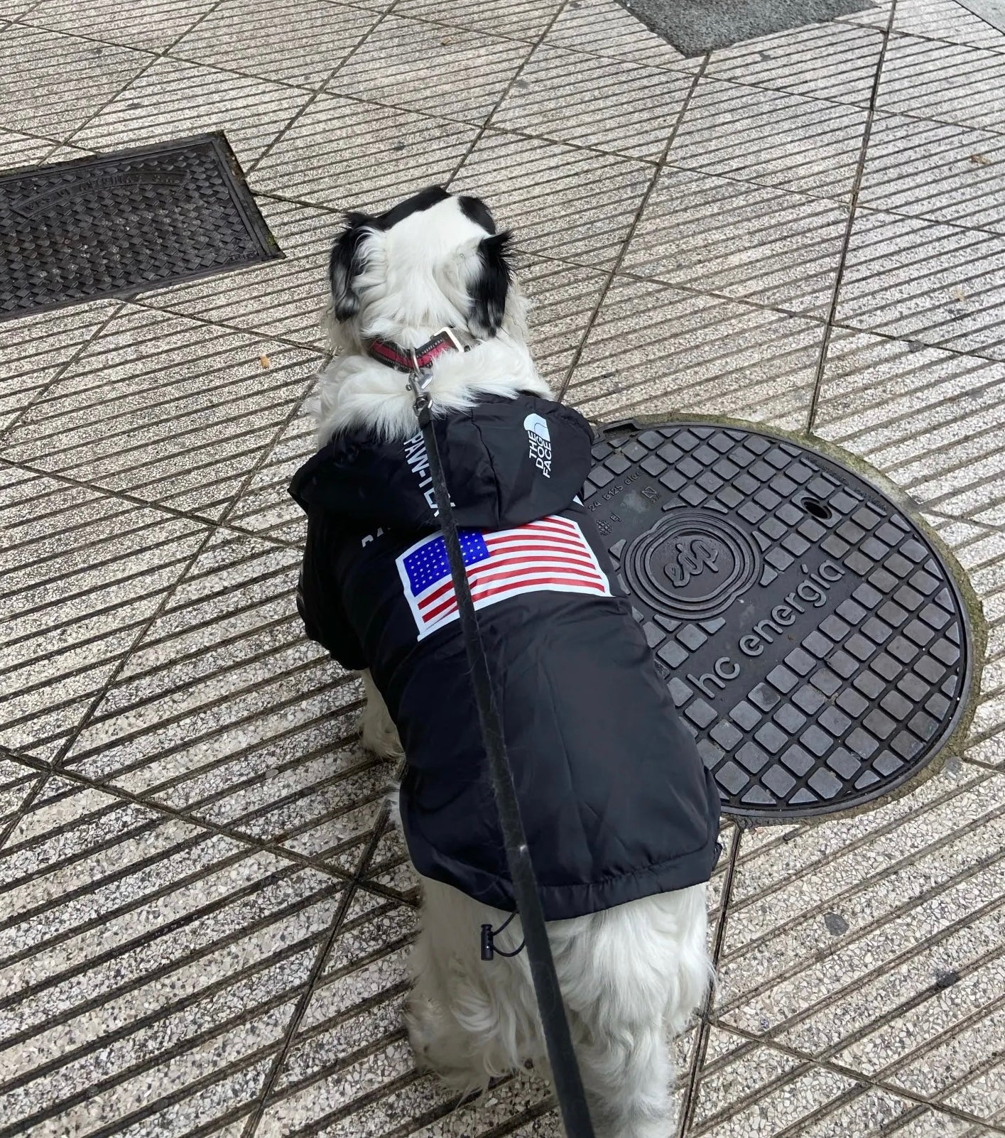 Wasserdichte Hundejacke mit Kapuze „Space Edition“