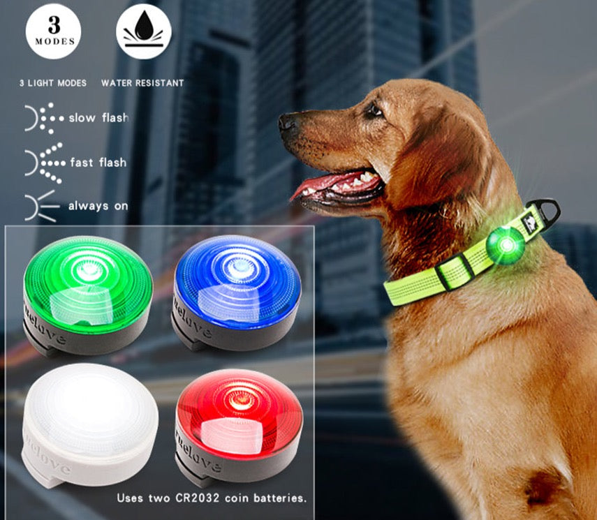 Sicherheits-LED-Licht V1 LED Sicherheitslicht