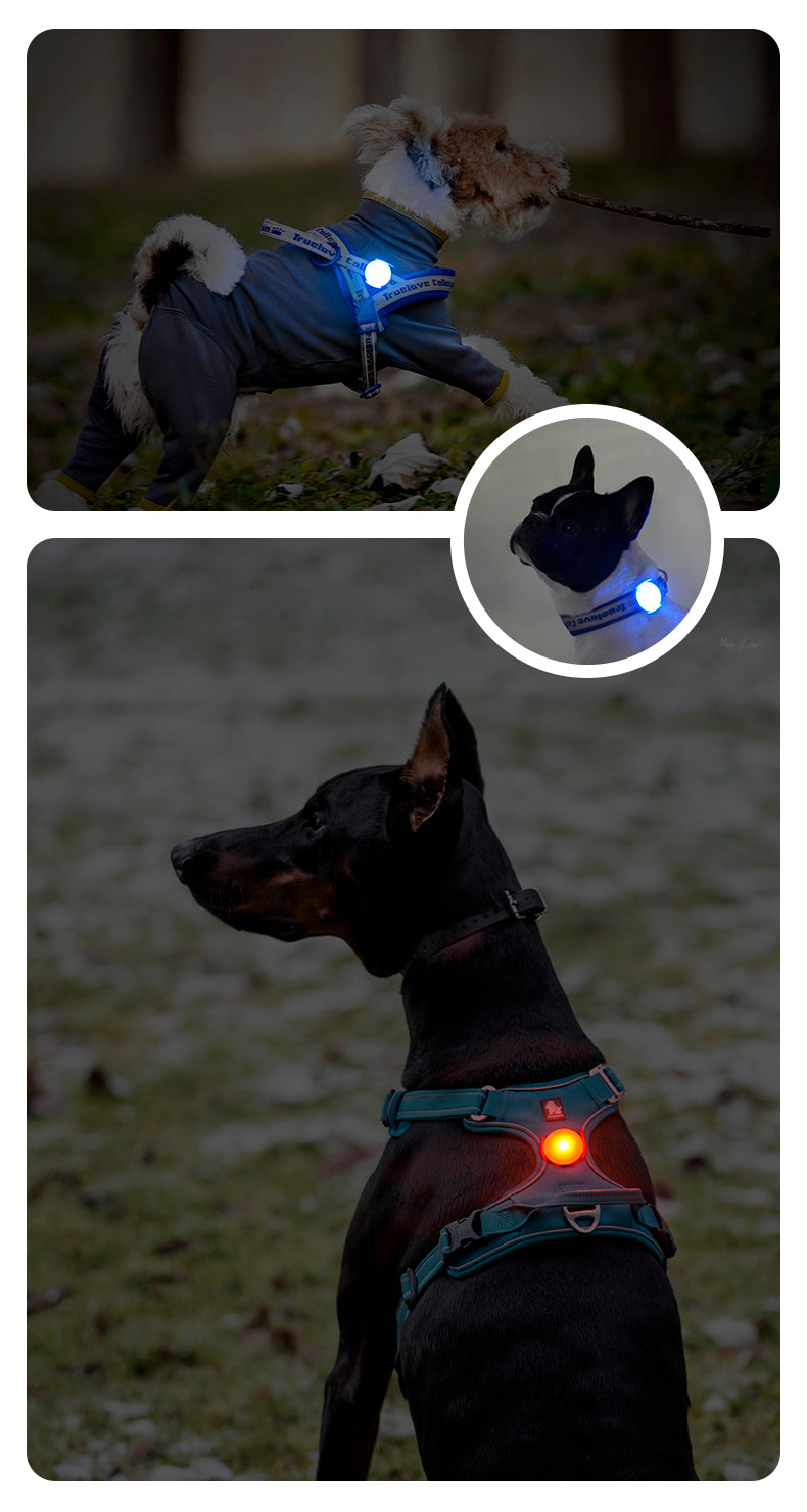 Sicherheits-LED-Licht V2, LED Sicherheitslicht V2