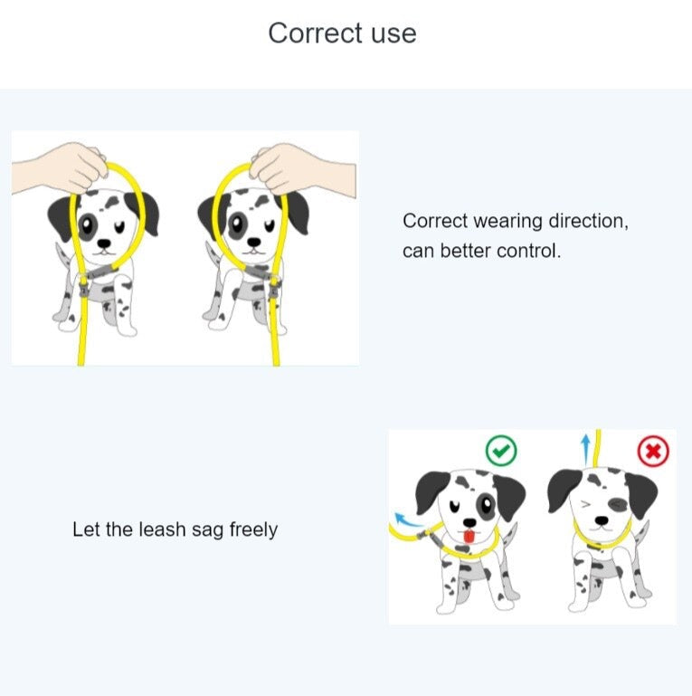 Retrieverleine - 2 in 1 Hundehalsband mit Leine