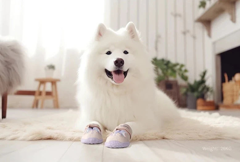 Hundeschuhe "Bellao" für ultimativen Komfort und Schutz
