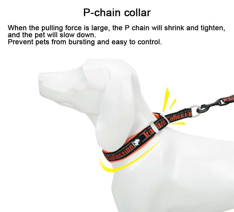 Hundehalsband mit Zugstop "TRUE LOVE COLLECTION"