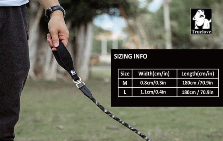 Retrieverleine - 2 in 1 Hundehalsband mit Leine