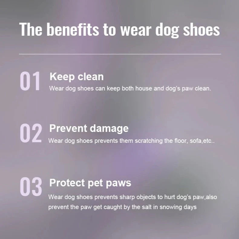 Hundeschuhe "Bellao" für ultimativen Komfort und Schutz