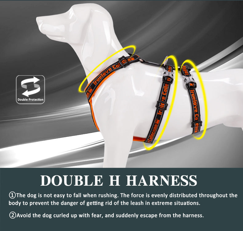 "TRUE LOVE COLLECTION" Sportliches Doppel-H-Hundegeschirr