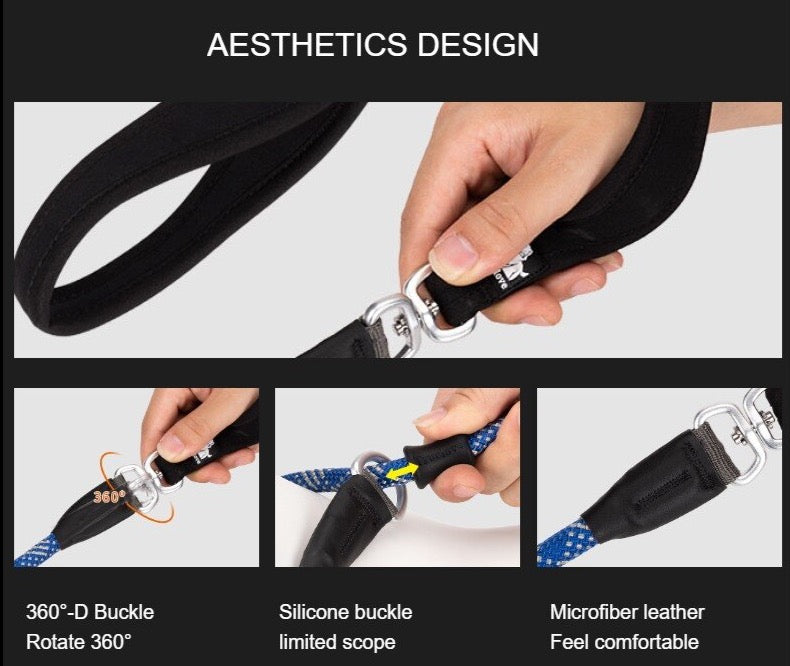 Retrieverleine - 2 in 1 Hundehalsband mit Leine