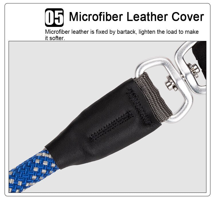 Retrieverleine - 2 in 1 Hundehalsband mit Leine