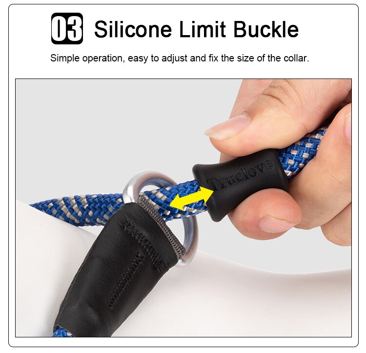 Retrieverleine - 2 in 1 Hundehalsband mit Leine
