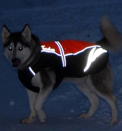 Wasserdichter Reflektierender Hundemantel mit Fellkragen und Fleece