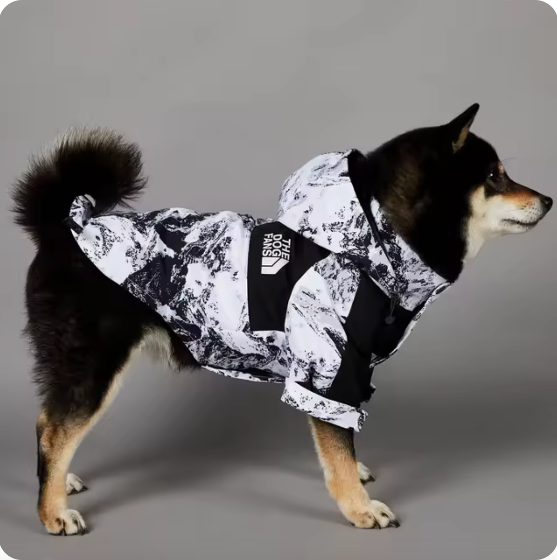 Wetterfeste Hunderegenjacke