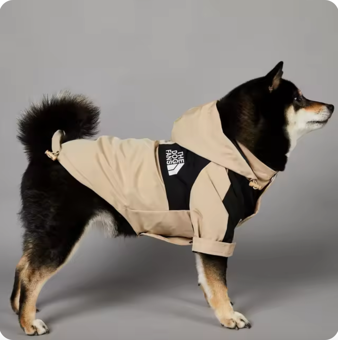 Wetterfeste Hunderegenjacke