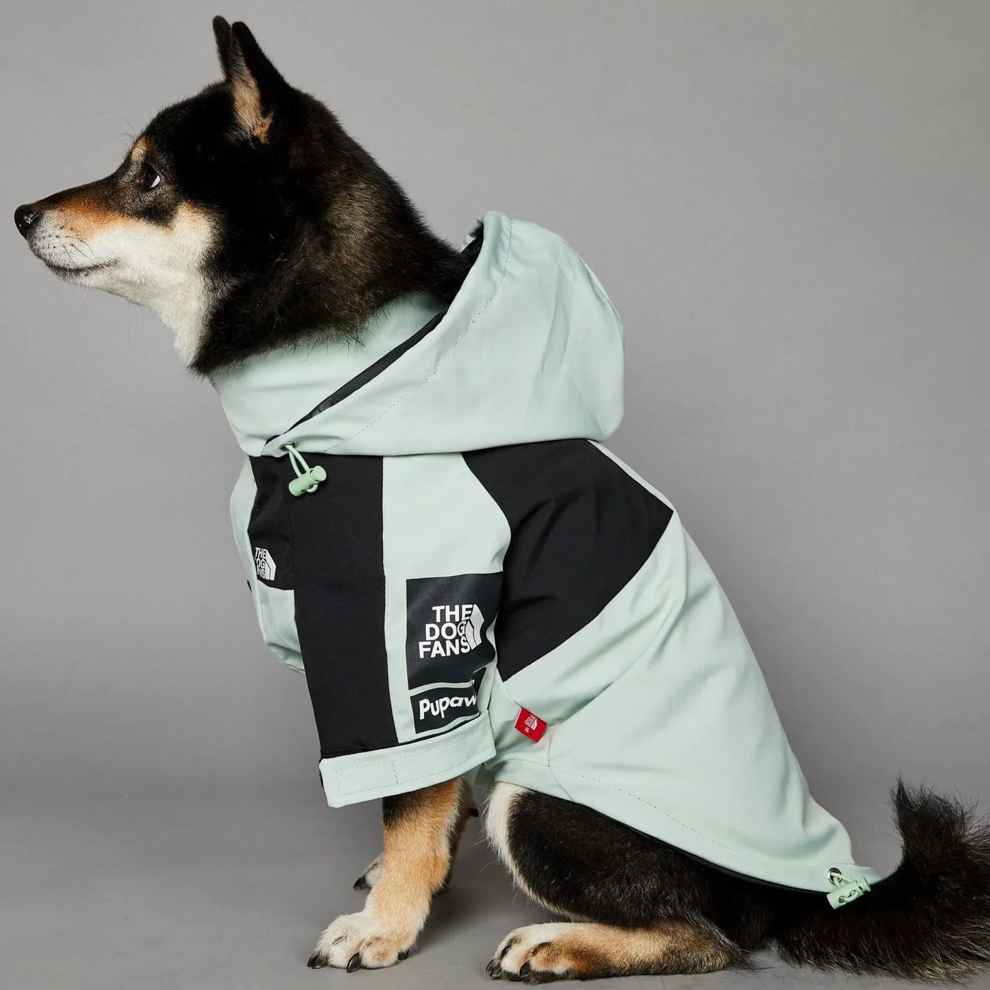 Wetterfeste Hunderegenjacke