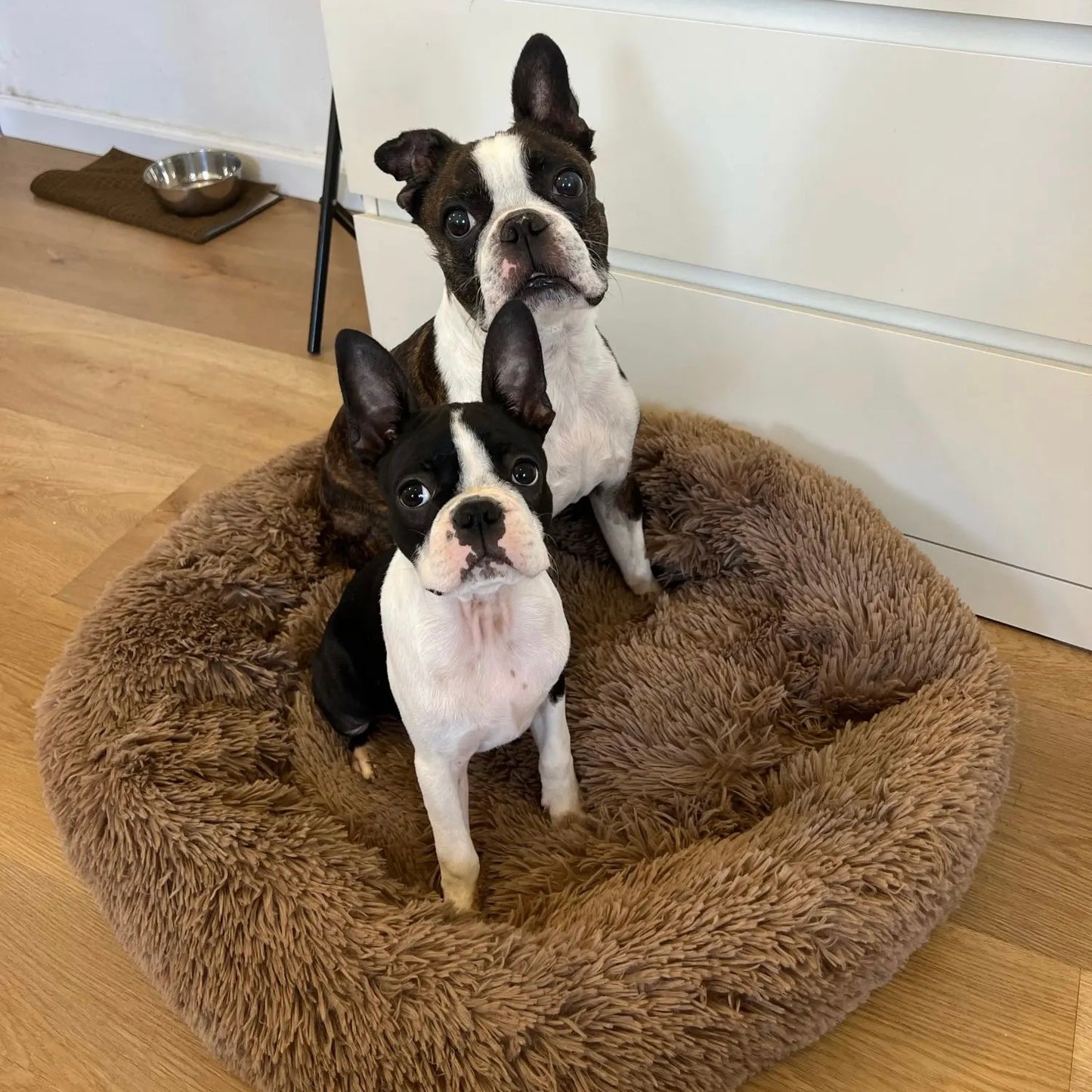 Super flauschiges Hundebett