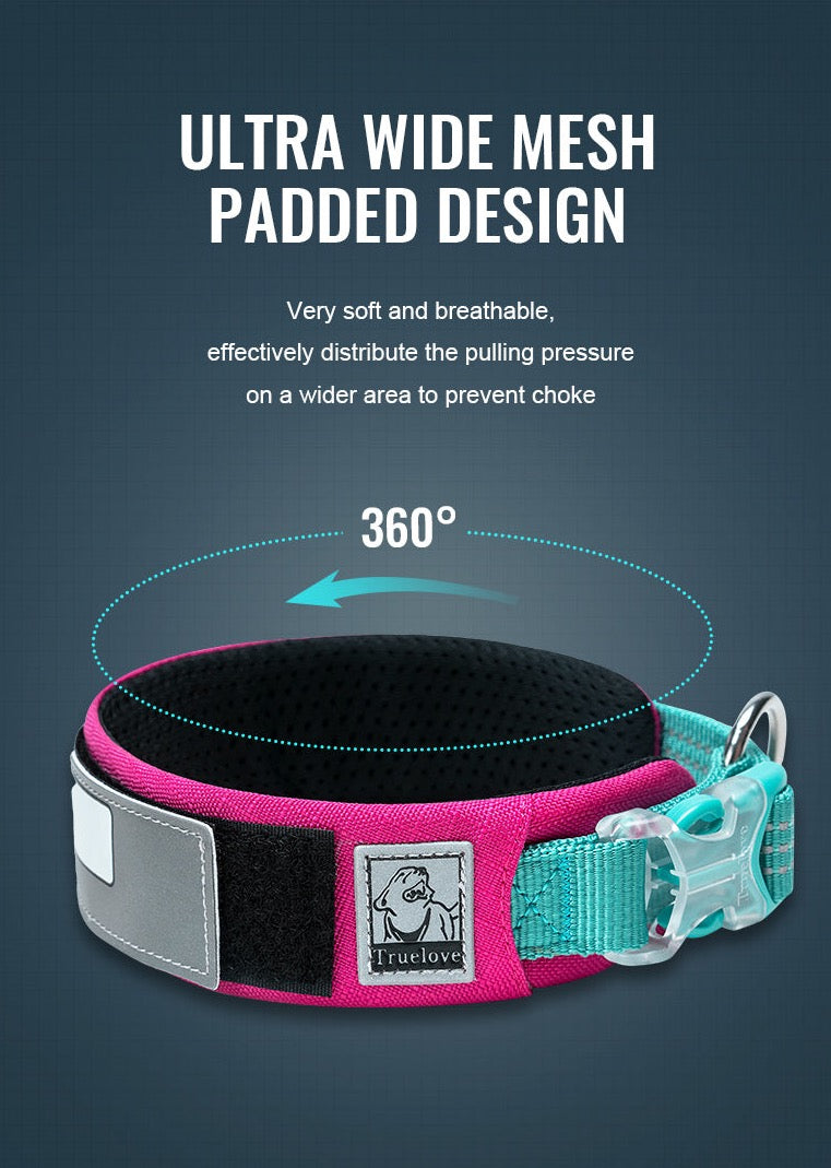 personalisierbares Hundehalsband - Weich, haltbar und individuell anpassbar