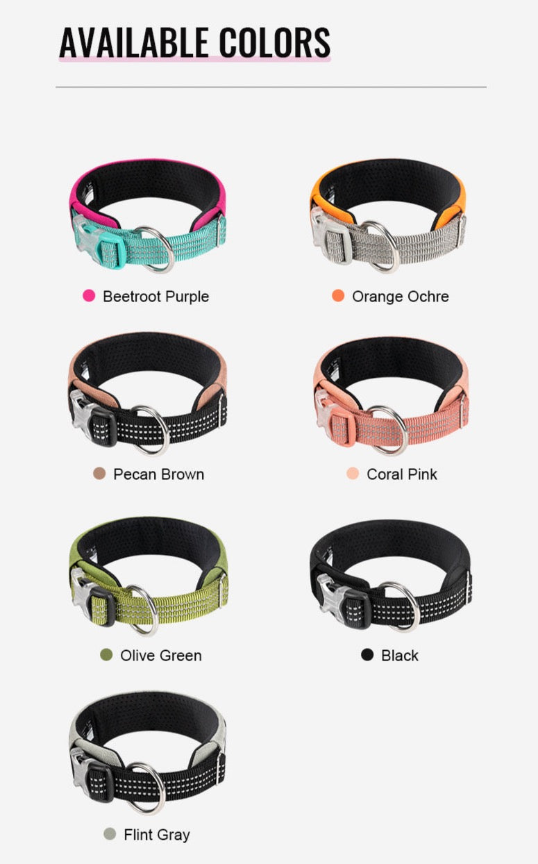 personalisierbares Hundehalsband - Weich, haltbar und individuell anpassbar