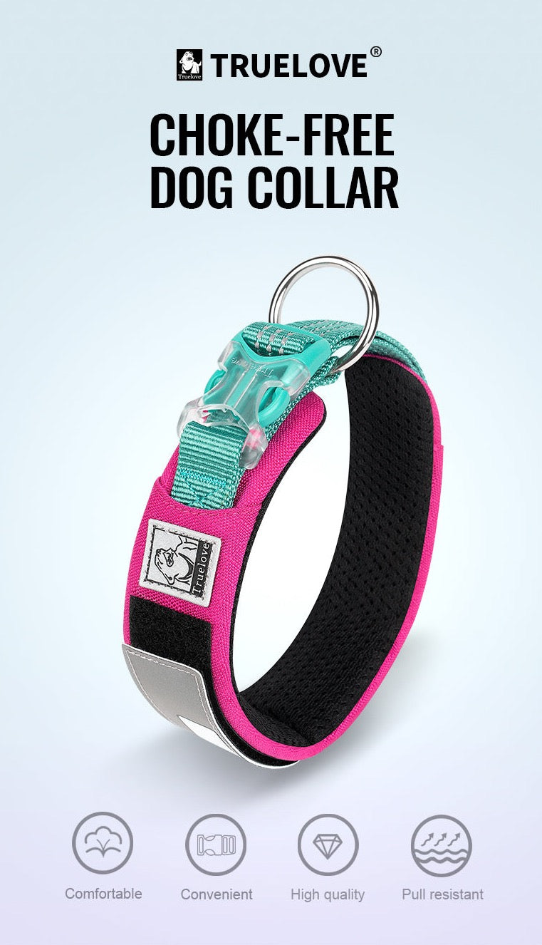 personalisierbares Hundehalsband - Weich, haltbar und individuell anpassbar