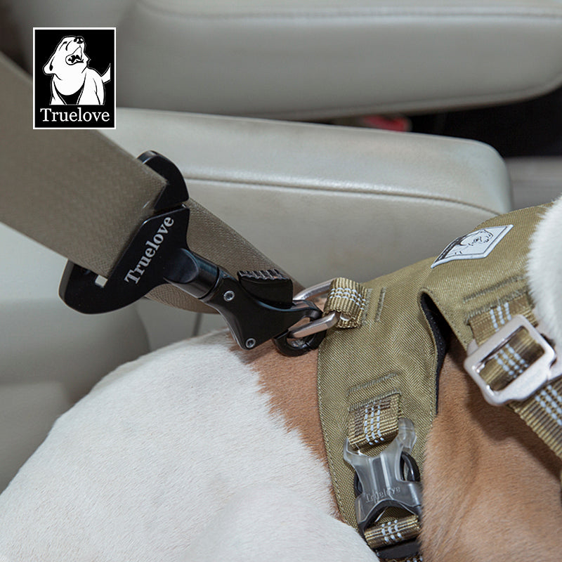 Sicher unterwegs: Der zuverlässige Auto-Sicherheitsgurt für Hunde
