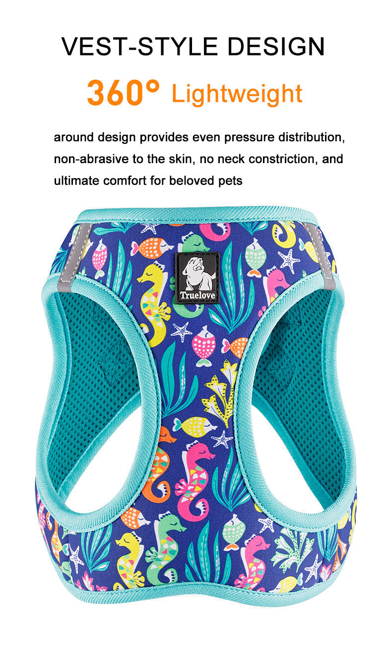 Hundegeschirr Limited Sommer Edition