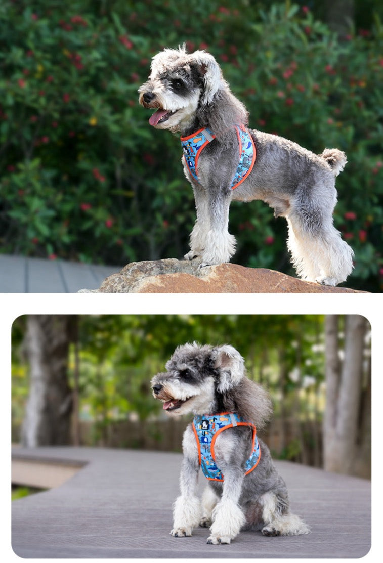 Hundegeschirr Limited Sommer Edition