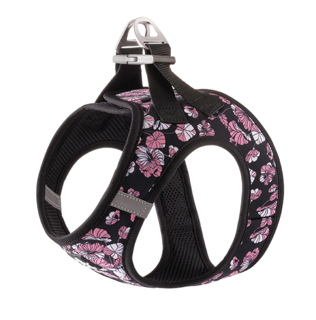 Hundegeschirr Limited Sommer Edition