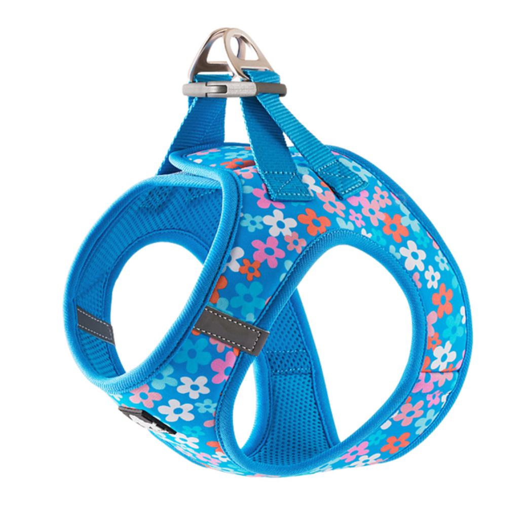 Hundegeschirr Limited Sommer Edition