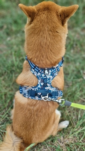 Premium Hundegeschirr Flower Spring - SAXONY BLUE