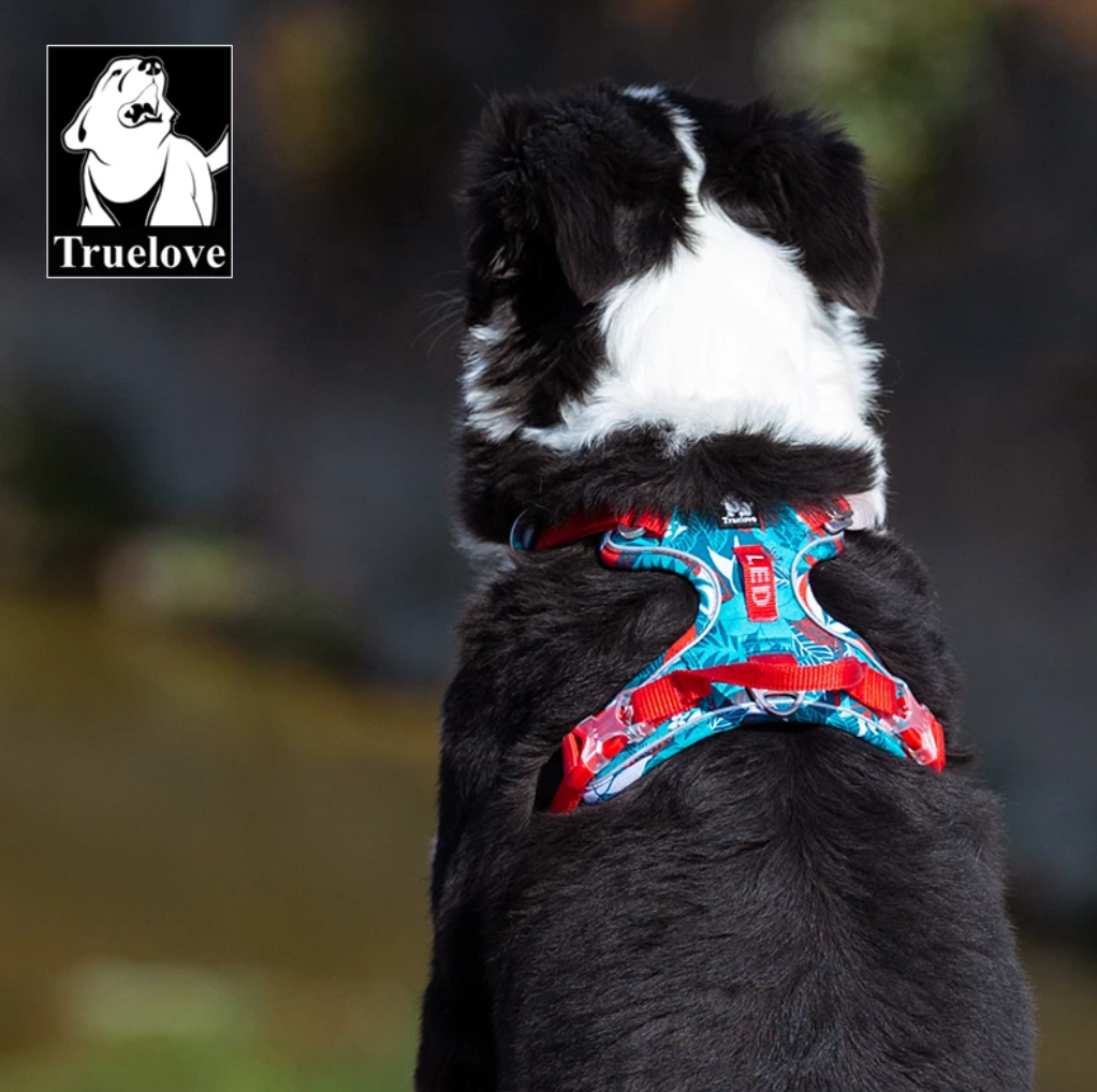 Reflektierendes Hundegeschirr "Camouflage Blue" Limited Edition