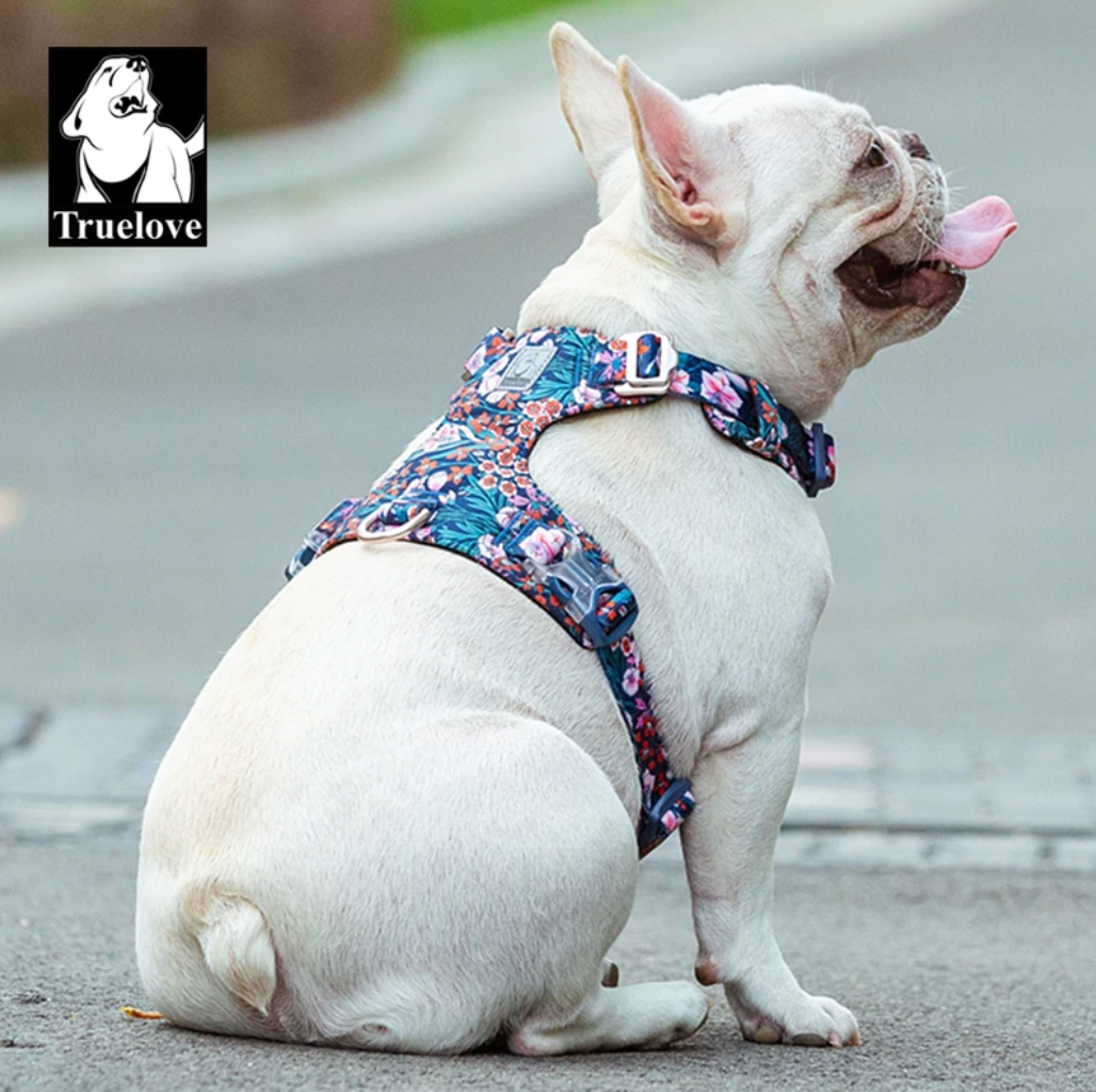 Premium Hundegeschirr "NAVY BLAZER" Flower Spring 2