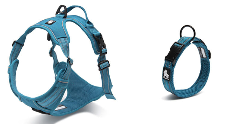 1 multifunktionale Hundeleine 2 Meter