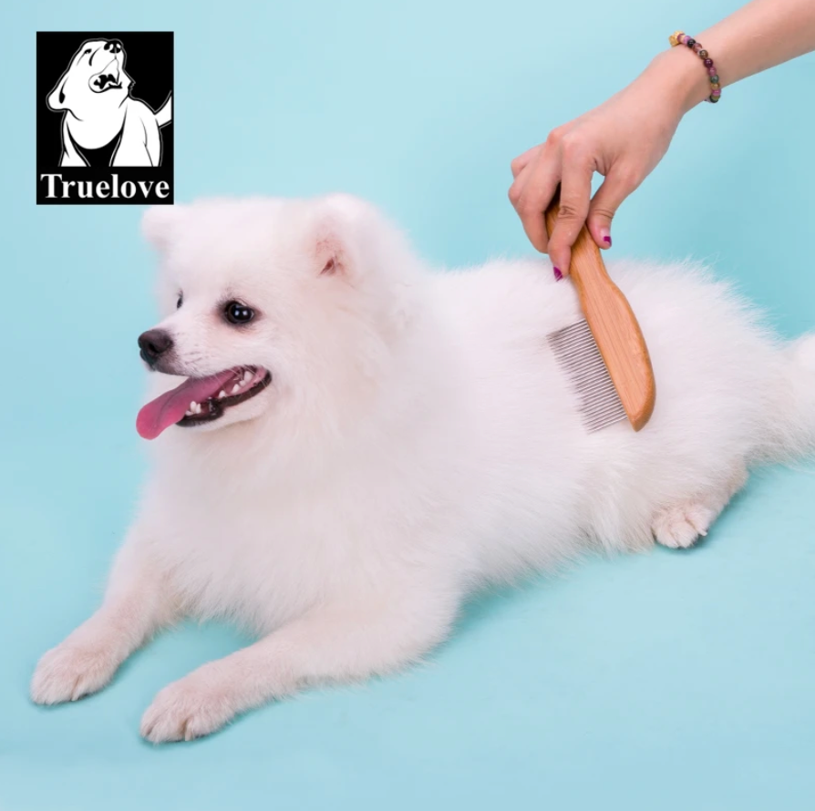 Slicker & Hundekamm (2er Set) Hund