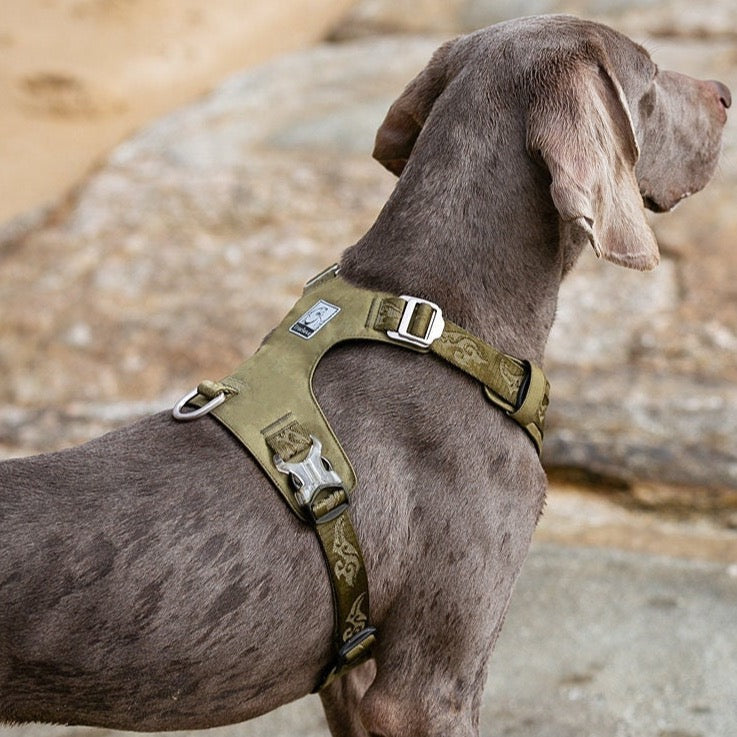 Ultraleichtes Hundegeschirr Cordura True Love for Dogs Hundegeschirr_Wanderung Hundegeschirr_sicher Hundegeschirr_Reiten Hundegeschirr_reflektierend Hundegeschirr_günstig Hundegeschirr_bestseller Hundegeschirr_Autofahrt Hundegeschirr_3m_reflektiert funktional_dog_harness dog_harness_bestselling dog_harness 3M_reflektion