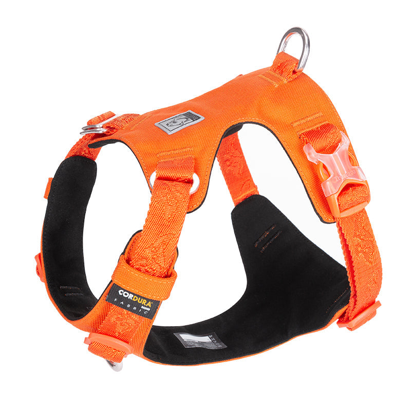 Ultraleichtes Hundegeschirr Cordura True Love for Dogs Hundegeschirr_Wanderung Hundegeschirr_sicher Hundegeschirr_Reiten Hundegeschirr_reflektierend Hundegeschirr_günstig Hundegeschirr_bestseller Hundegeschirr_Autofahrt Hundegeschirr_3m_reflektiert funktional_dog_harness dog_harness_bestselling dog_harness 3M_reflektion