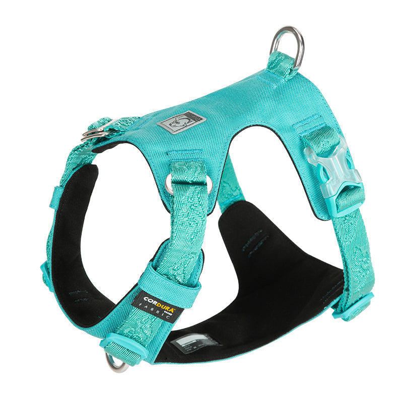 Ultraleichtes Hundegeschirr Cordura True Love for Dogs Hundegeschirr_Wanderung Hundegeschirr_sicher Hundegeschirr_Reiten Hundegeschirr_reflektierend Hundegeschirr_günstig Hundegeschirr_bestseller Hundegeschirr_Autofahrt Hundegeschirr_3m_reflektiert funktional_dog_harness dog_harness_bestselling dog_harness 3M_reflektion