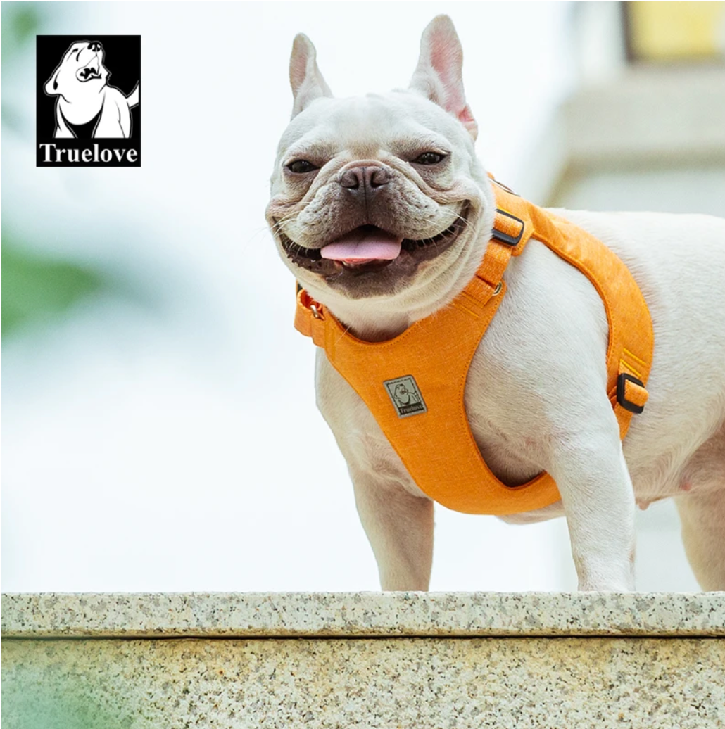 ECO Hundegeschirr, Umweltfreundliches Hundegeschirr aus recycelten Materialien