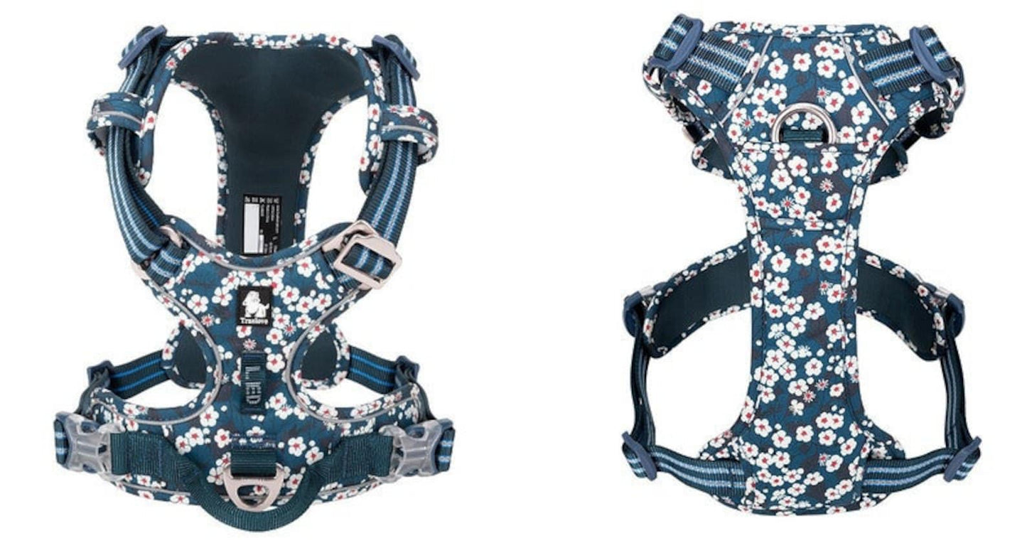 Premium Hundegeschirr Flower Spring - SAXONY BLUE