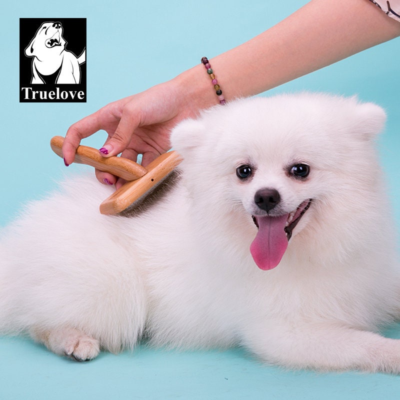 Slicker & Hundekamm (2er Set) Hund