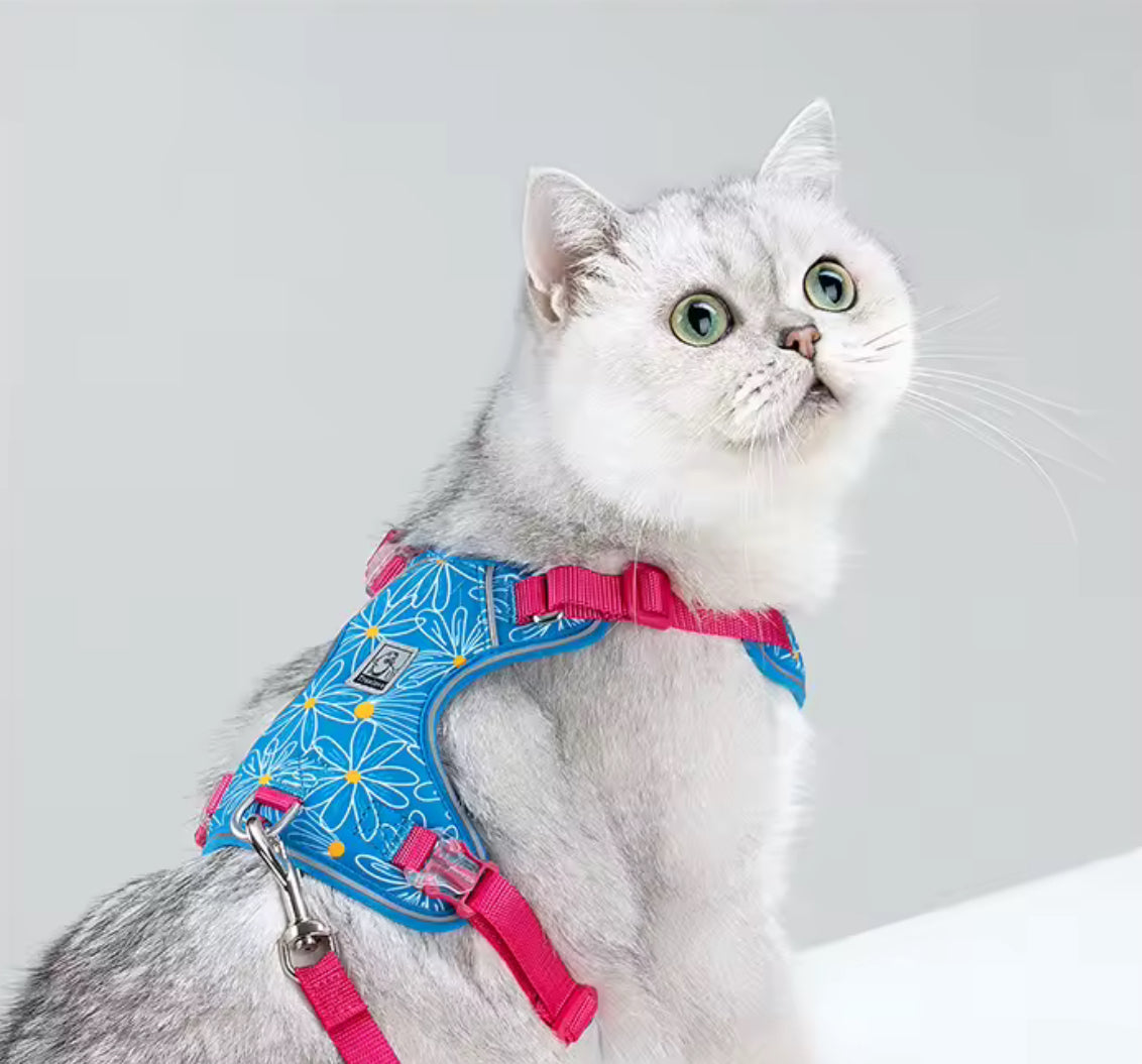 Earth Garden – Natürliche Eleganz für deine Fellnase