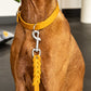 Hundeleine Soft Leder mit Handschlaufe und geflochtenen Element