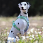 Hundegeschirr mit 3M Reflexion - Cordura®