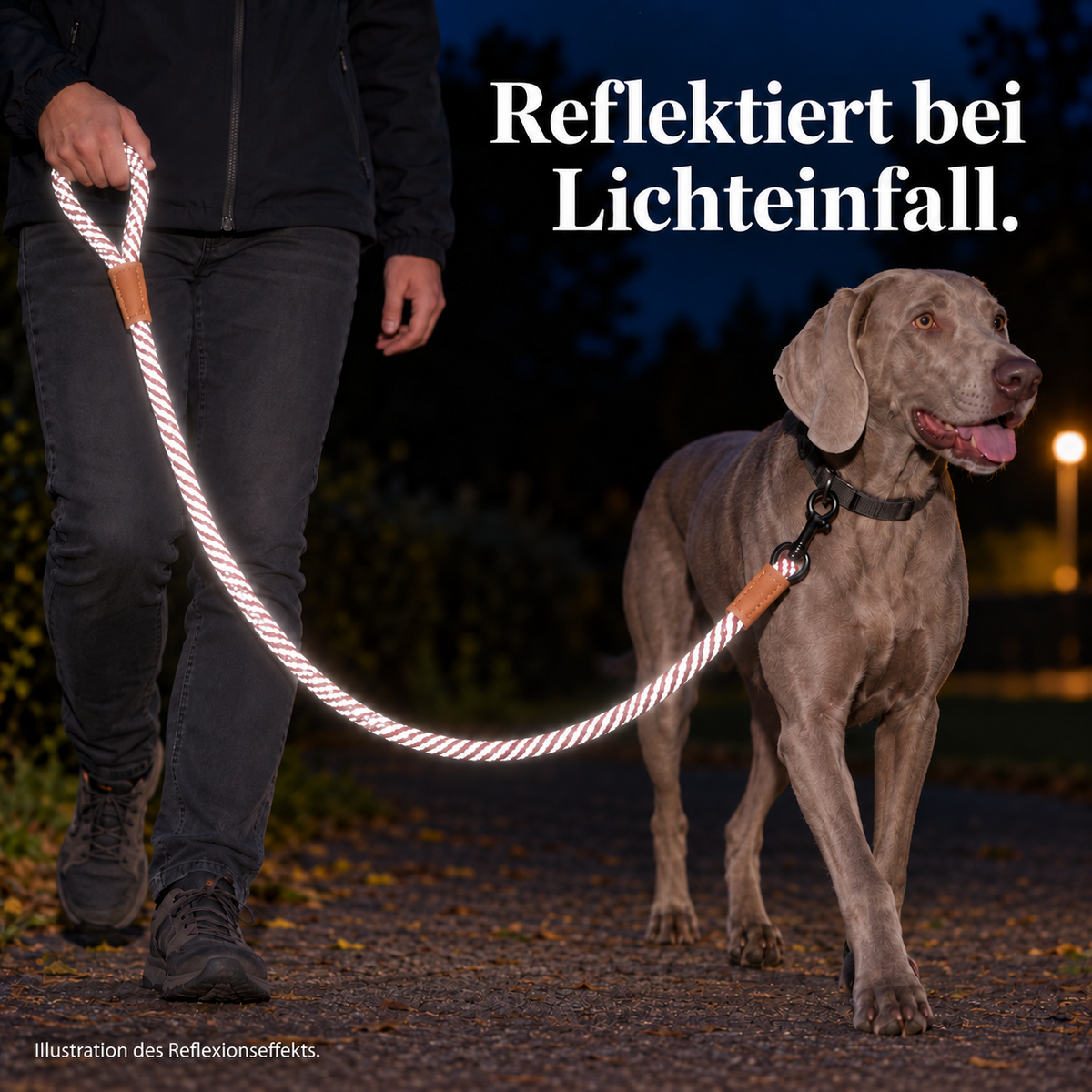 Reflektierende Hundeleine© mit Handschlaufe und veganem Leder in 4 Farben und Varianten