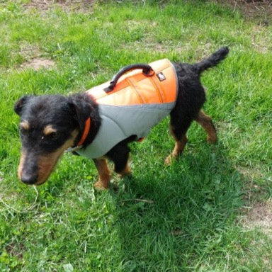 Truelove Pet Schwimmweste für Hunde Hundeschwimmweste Leben Jacke Sicherheit Weste für Hund in Sommer Mode Einstellbare Reflektierende in Pool oder Surfen DriftingTLY1951
