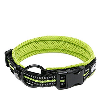 Hundehalsband mit 3M Reflexion