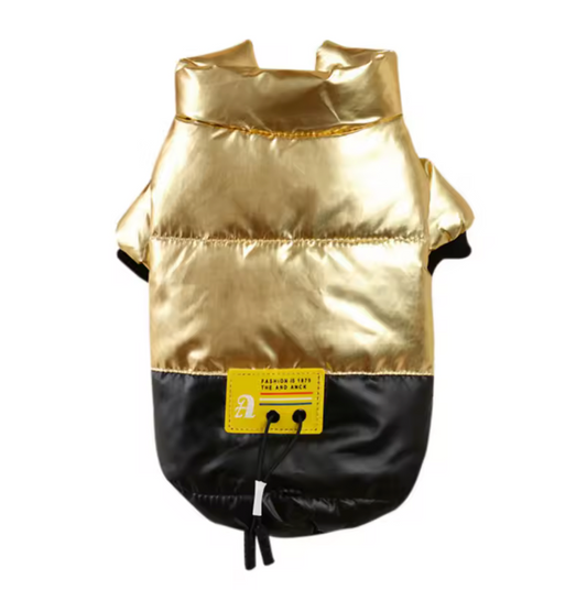 Hundewinterjacke Gold True Love for Dogs