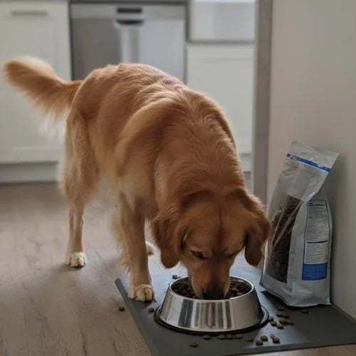 Eurital Dog Choice- Schwein mit Süßkartoffel und Apfel