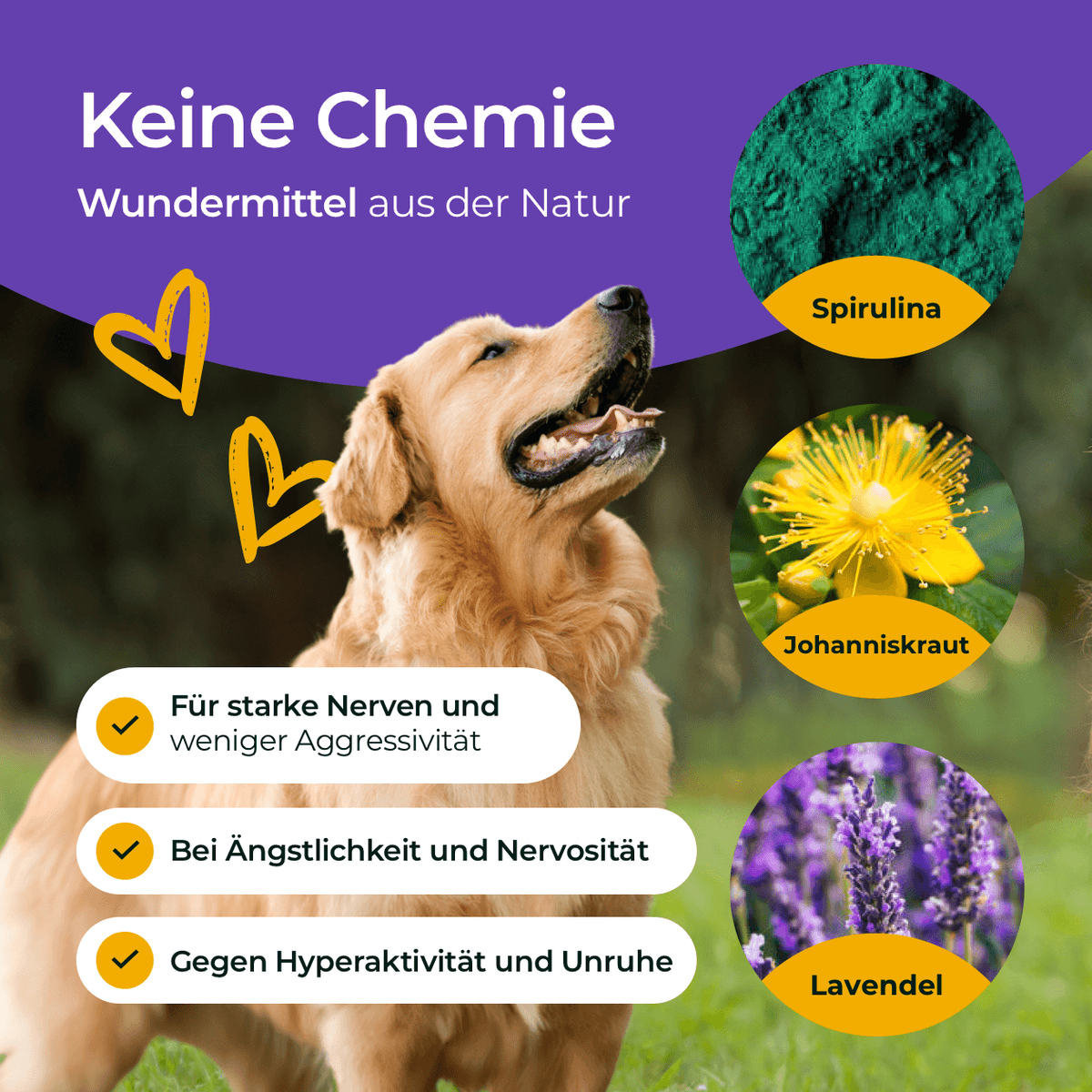 Hundpur® Nerven mit Glückskomplex