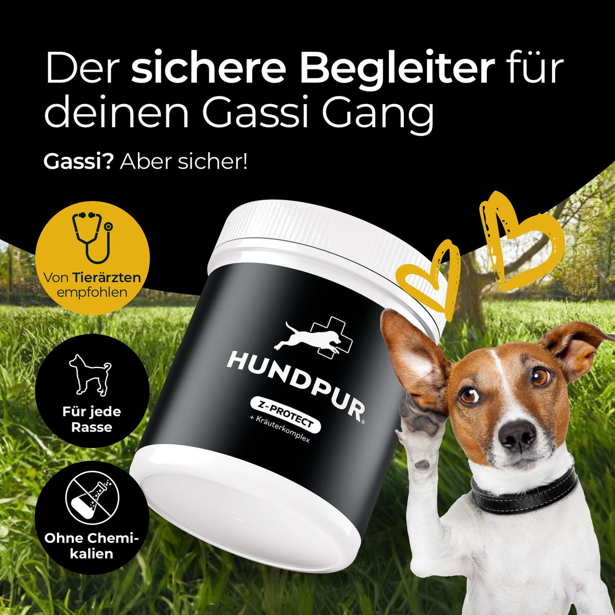 Hundpur® Z-Protect mit Kräuterkomplex