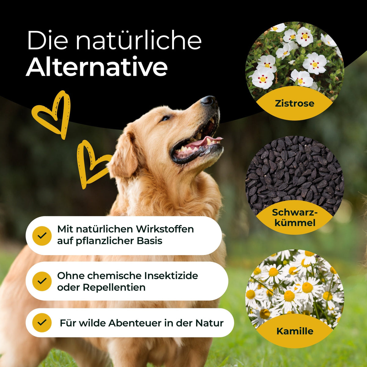 Hundpur® Z-Protect mit Kräuterkomplex