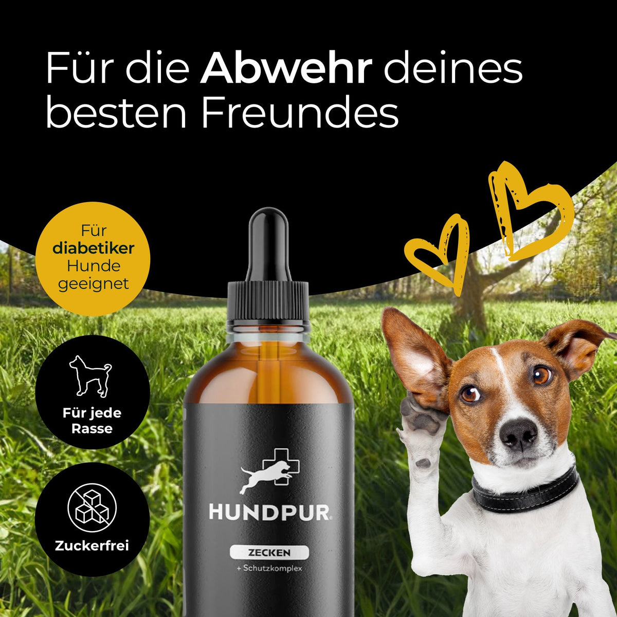 Hundpur® Zeckenschutz